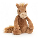 Bashful Pony Medium