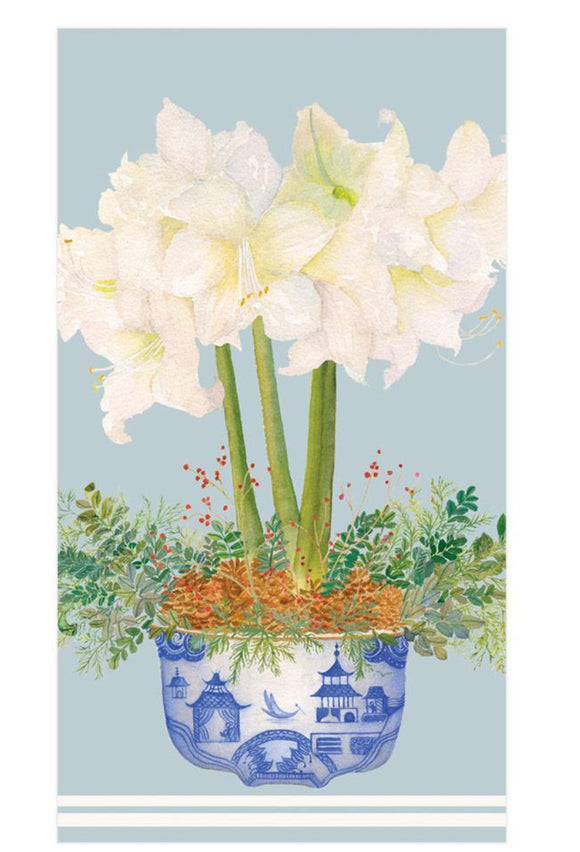 GT Potted Amaryllis Pale Blue