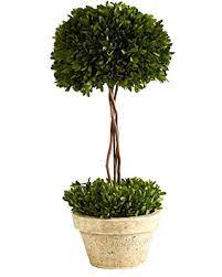 Medium Boxwood Pot