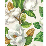 GT Magnolia
