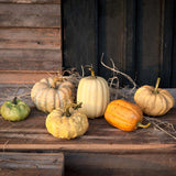 Miniature Pumpkins Collection Set of 6