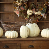 Full Moon Pumpkin Collection Set of 5