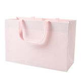 Gift Bag Mini Stripe Blush Medium