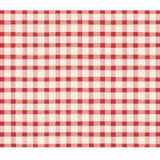 Red Painted Check Placemat