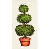 GT Topiary